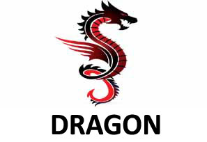 The Dragon Programming Language